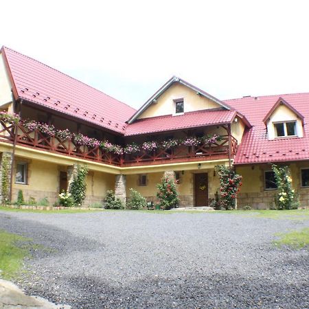 Stronie Śląskie Dom Na Klonowym Wzgorzu Bed & Breakfast エクステリア 写真