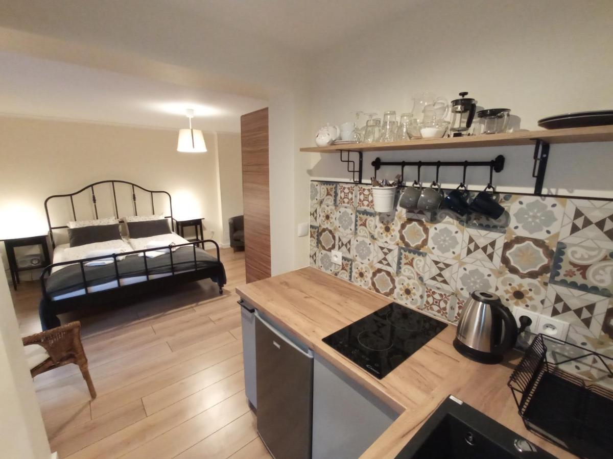 Stronie Śląskie Dom Na Klonowym Wzgorzu Bed & Breakfast エクステリア 写真