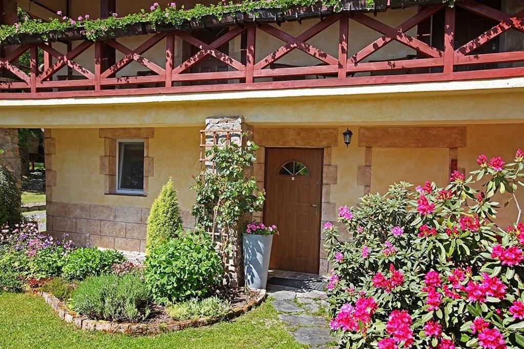 Stronie Śląskie Dom Na Klonowym Wzgorzu Bed & Breakfast エクステリア 写真