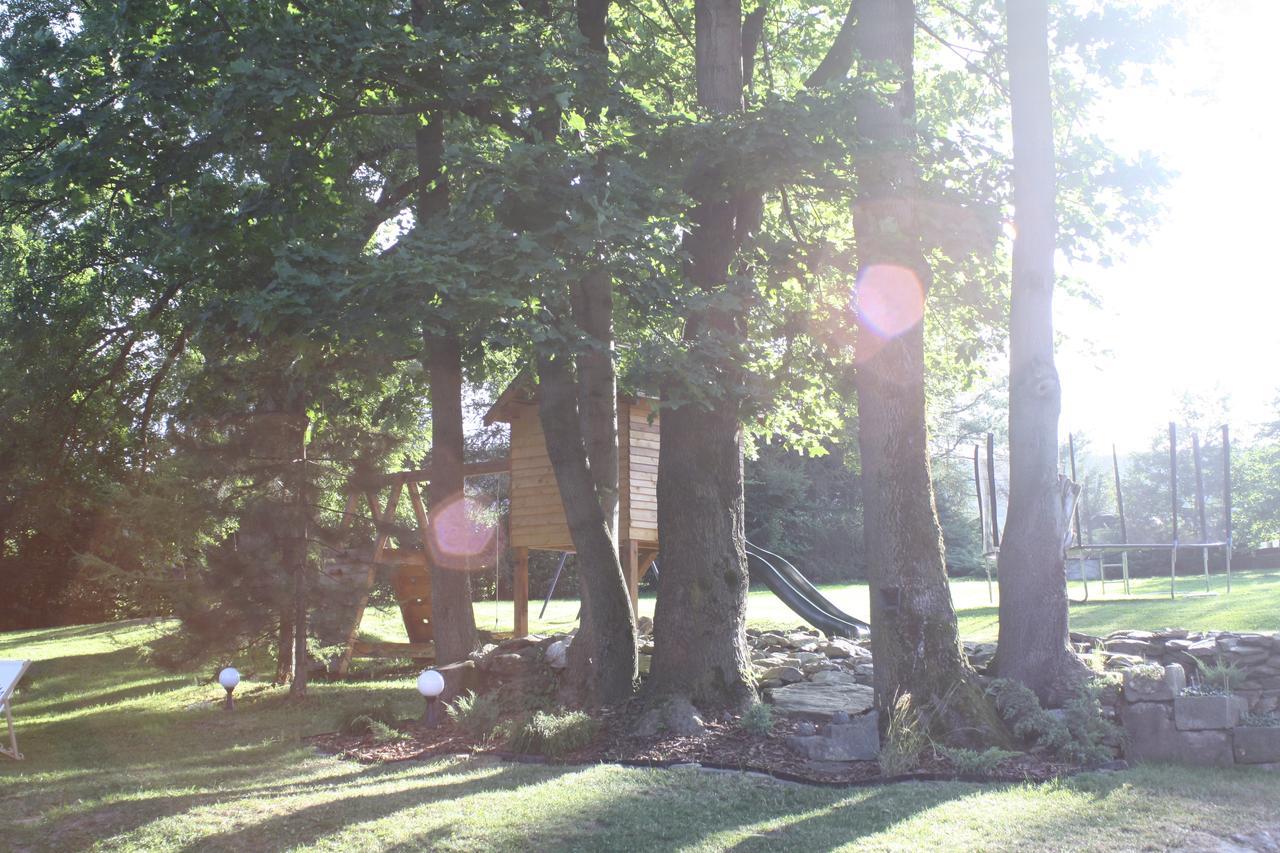 Stronie Śląskie Dom Na Klonowym Wzgorzu Bed & Breakfast エクステリア 写真