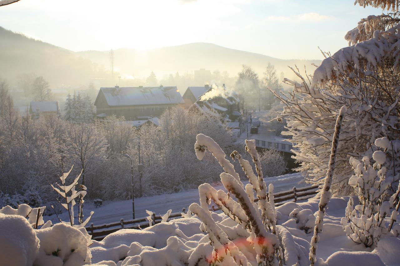 Stronie Śląskie Dom Na Klonowym Wzgorzu Bed & Breakfast エクステリア 写真