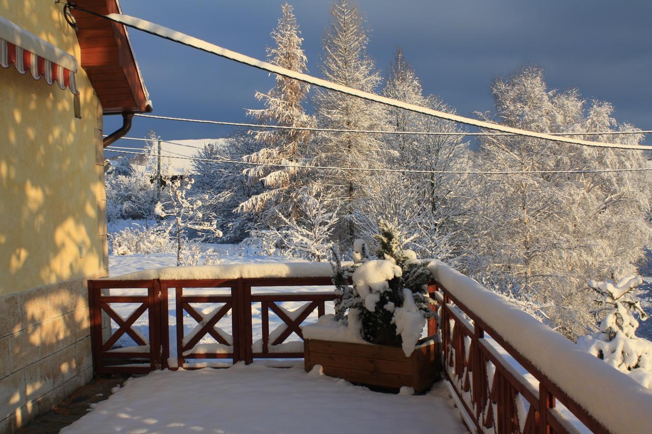 Stronie Śląskie Dom Na Klonowym Wzgorzu Bed & Breakfast エクステリア 写真