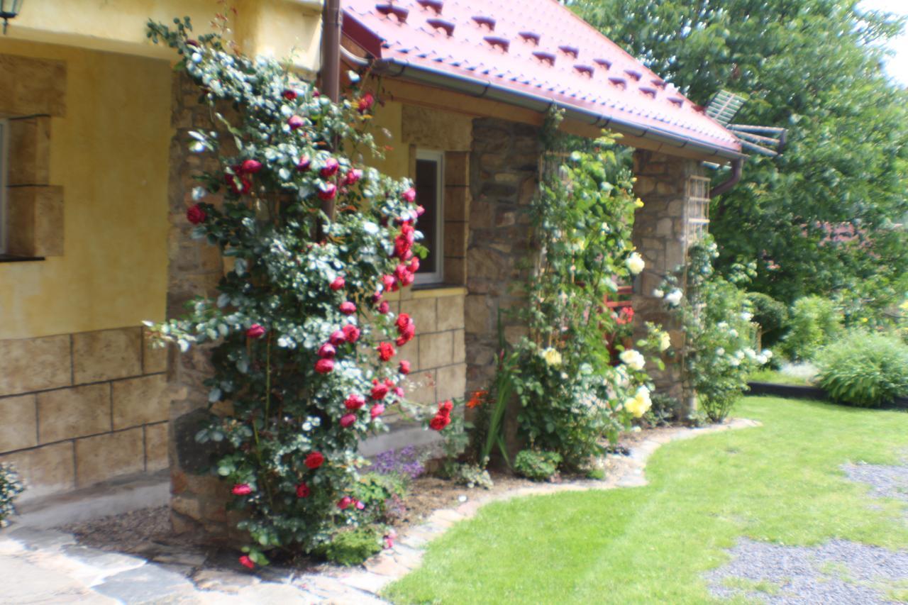 Stronie Śląskie Dom Na Klonowym Wzgorzu Bed & Breakfast エクステリア 写真