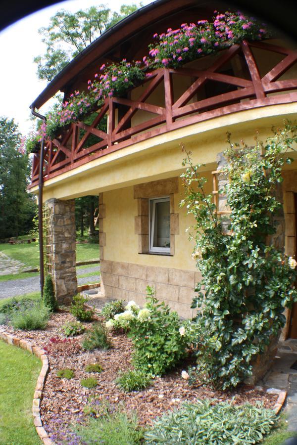 Stronie Śląskie Dom Na Klonowym Wzgorzu Bed & Breakfast エクステリア 写真