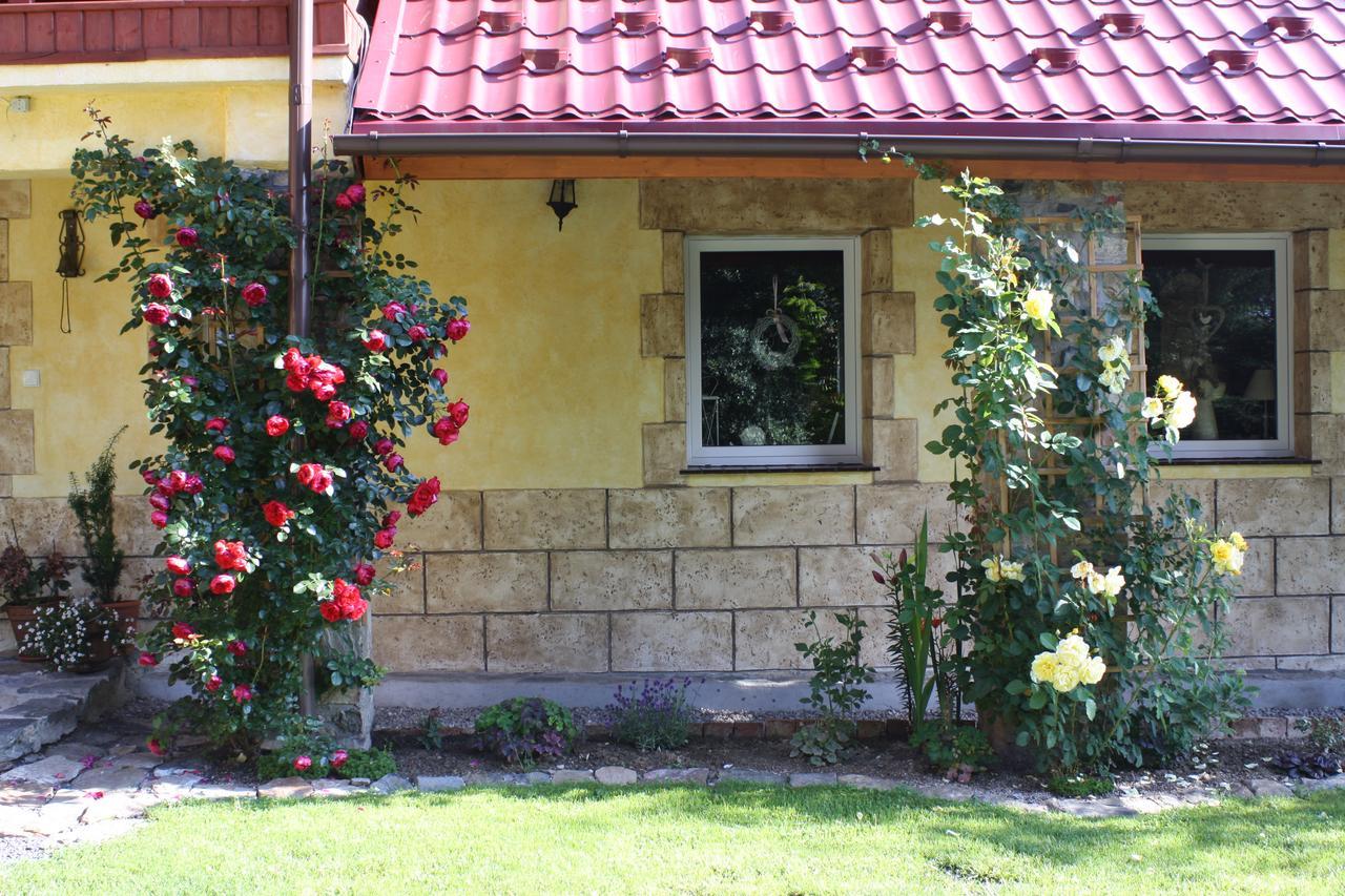Stronie Śląskie Dom Na Klonowym Wzgorzu Bed & Breakfast エクステリア 写真