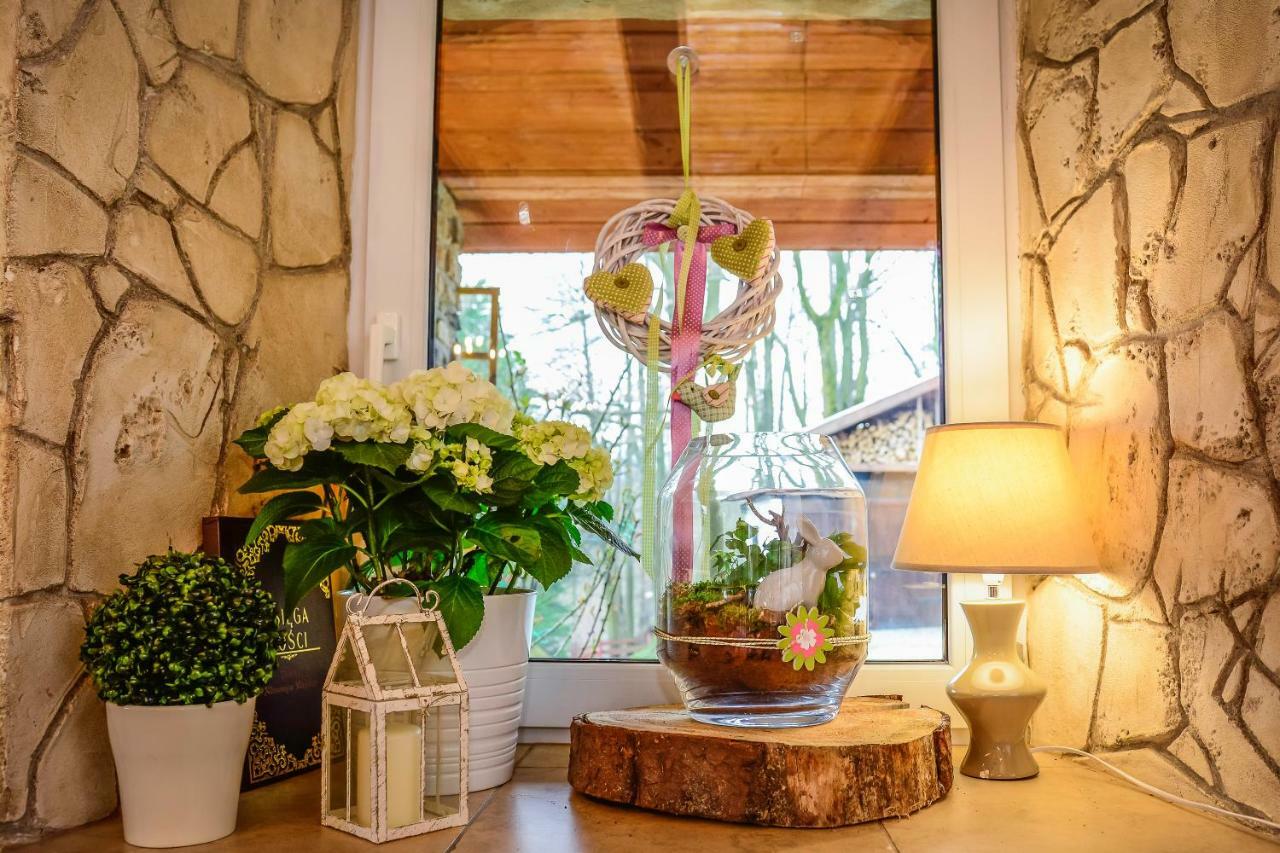 Stronie Śląskie Dom Na Klonowym Wzgorzu Bed & Breakfast エクステリア 写真