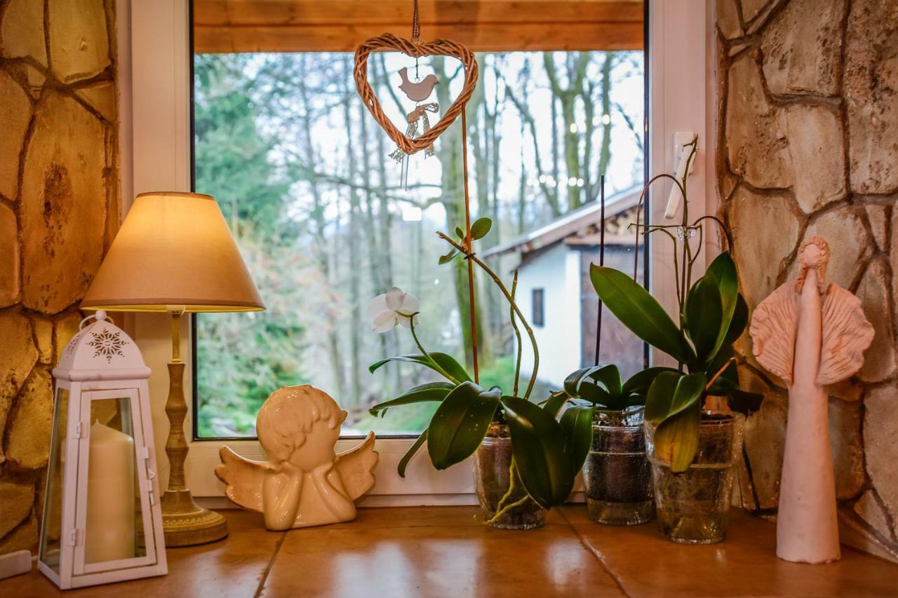 Stronie Śląskie Dom Na Klonowym Wzgorzu Bed & Breakfast エクステリア 写真